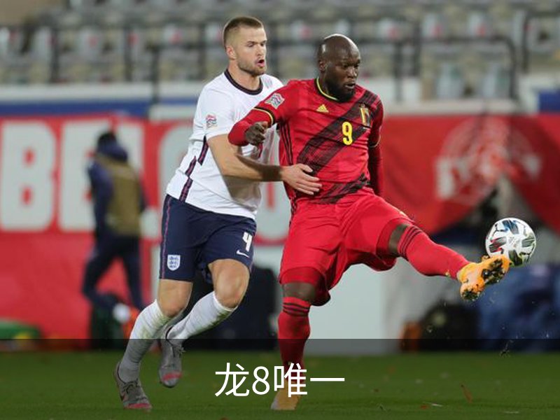 龙8唯一介绍
